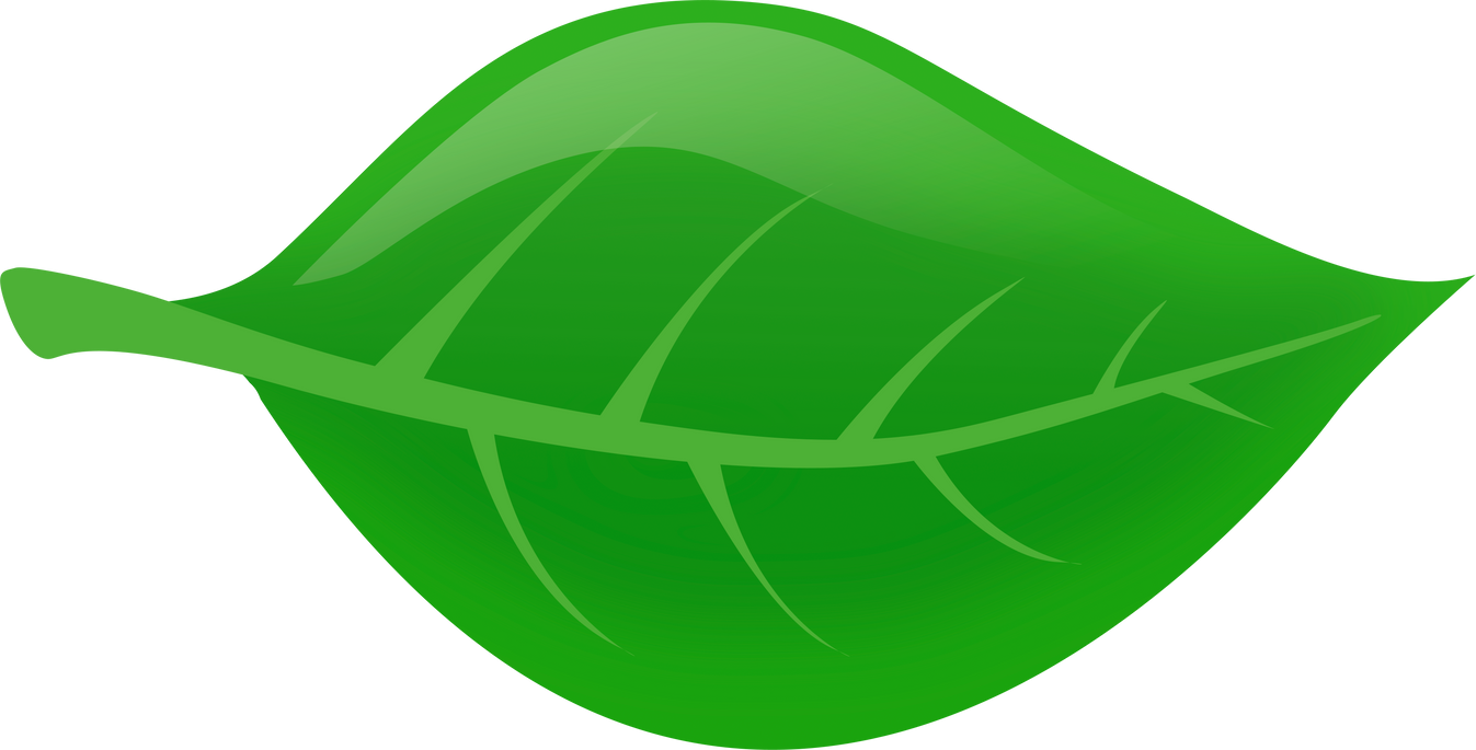 Green Leaf Illustration